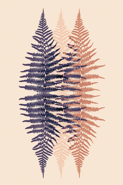 Late Sunset Fern Pattern