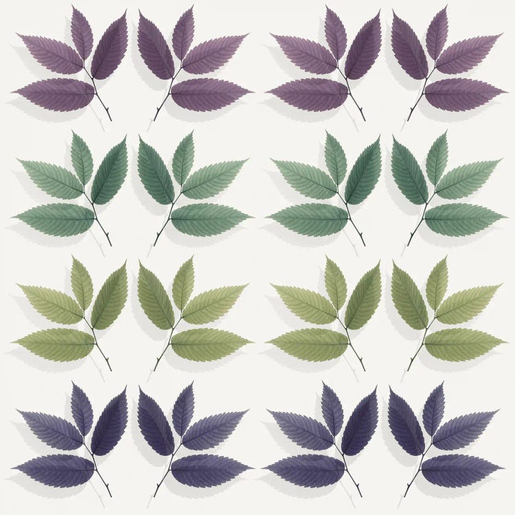 Calming Hornbeam Leaf Pattern by Alyson Fennell wall art