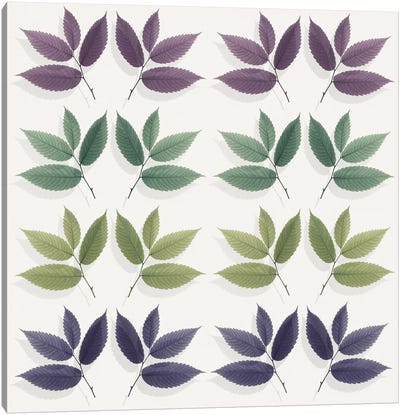 Calming Hornbeam Leaf Pattern Canvas Art Print - Alyson Fennell