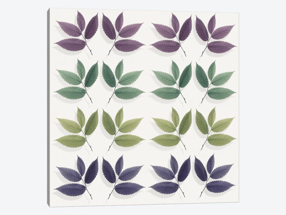 Calming Hornbeam Leaf Pattern by Alyson Fennell 1-piece Canvas Print