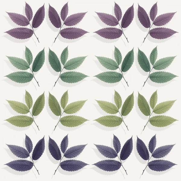 Alyson Fennell: Calming Hornbeam Leaf Pattern by Alyson Fennell