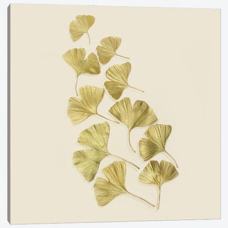Gold Ginkgo Leaves Canvas Print #FEN114} by Alyson Fennell Canvas Wall Art