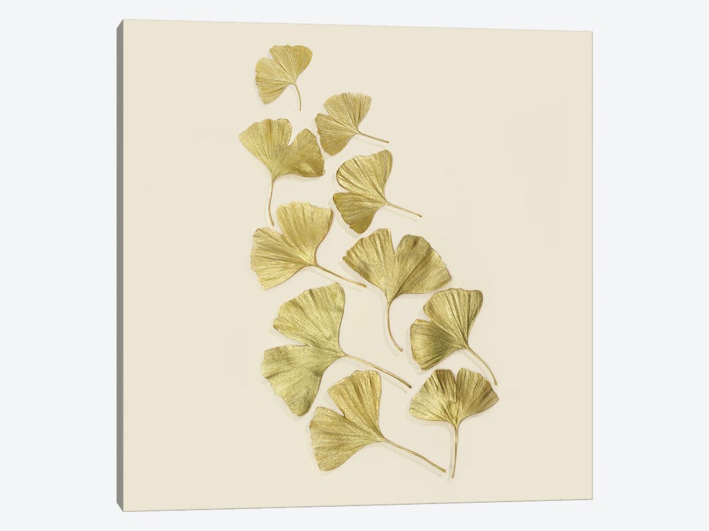 Gold Ginkgo Leaves by Alyson Fennell 1-piece Art Print