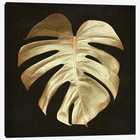 Gold Monstera Leaf Canvas Print #FEN116} by Alyson Fennell Canvas Artwork