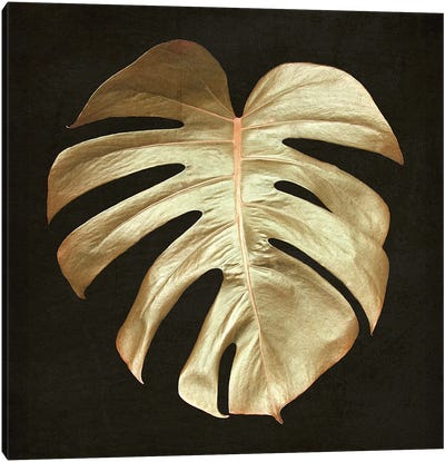 Gold Monstera Leaf Canvas Art Print - Alyson Fennell
