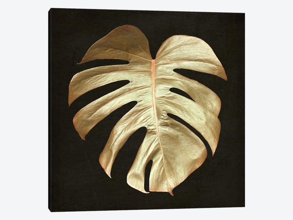 Gold Monstera Leaf by Alyson Fennell 1-piece Art Print