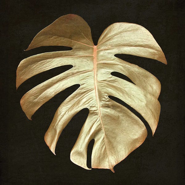 Monsteras: Gold Monstera Leaf by Alyson Fennell