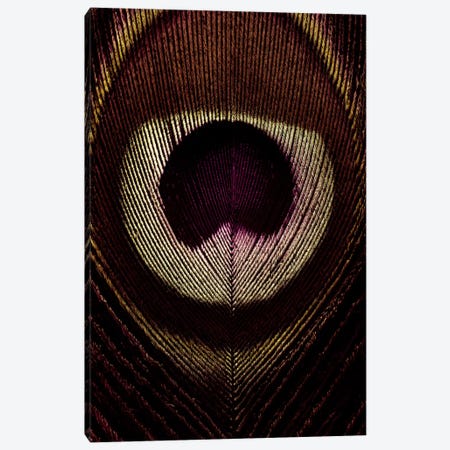 Bronze Peacock Feather Canvas Print #FEN11} by Alyson Fennell Canvas Wall Art