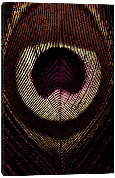Bronze Peacock Feather Canvas Art Print - Feather Art