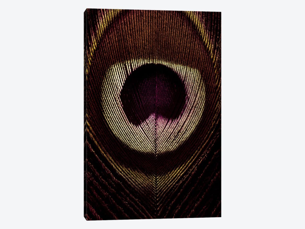 Bronze Peacock Feather by Alyson Fennell 1-piece Canvas Art Print