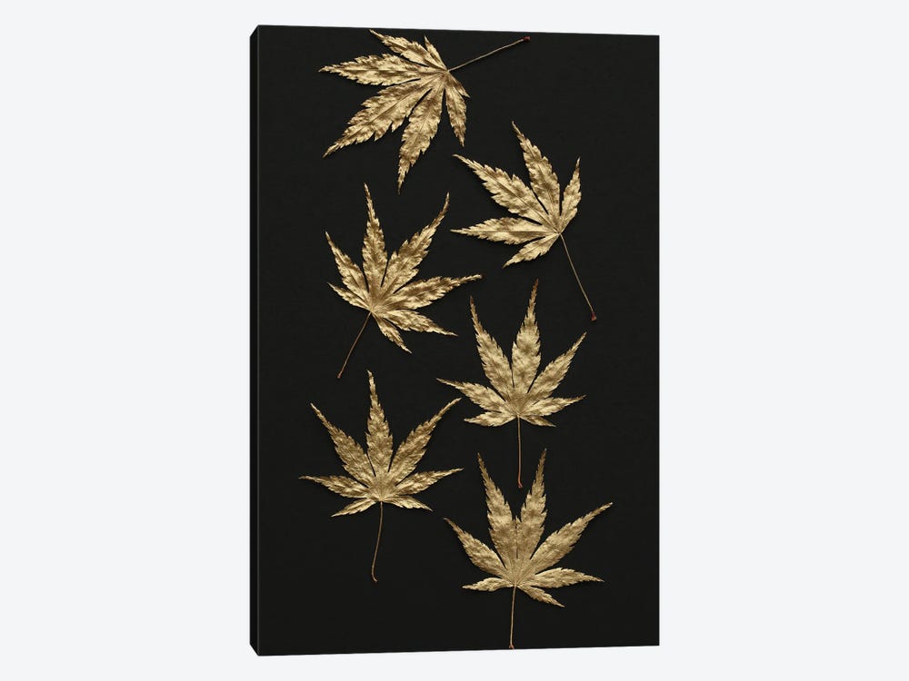 Gold Japanese Maple Leaves by Alyson Fennell 1-piece Art Print