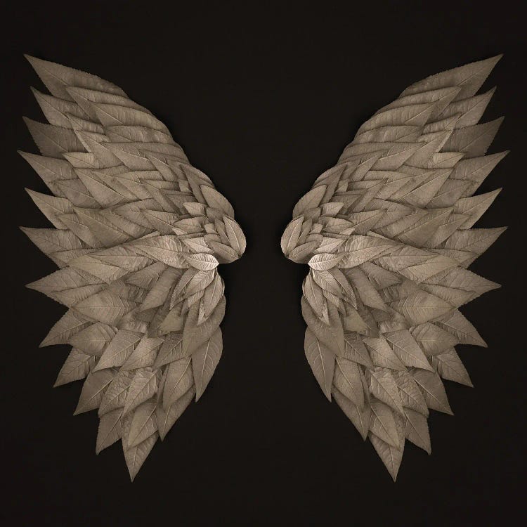 Buddleia Angel Wings