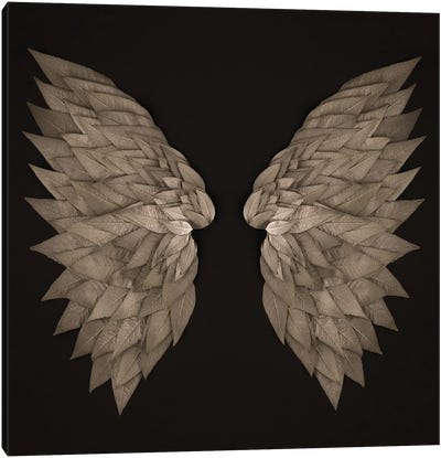 Buddleia Angel Wings Canvas Art Print - Alyson Fennell
