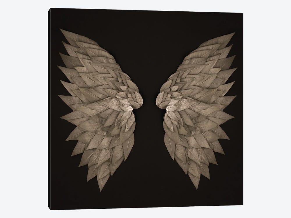 Buddleia Angel Wings by Alyson Fennell 1-piece Canvas Art Print
