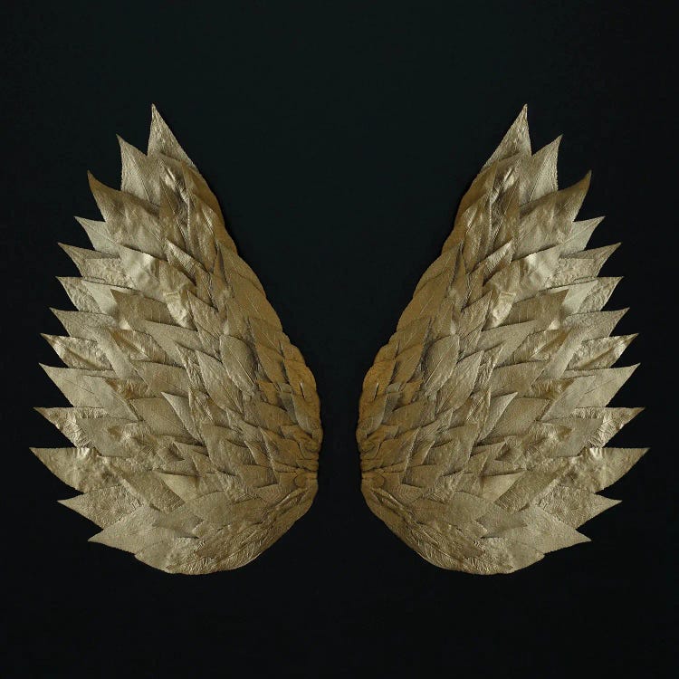 Gold Leaf Angel Wings