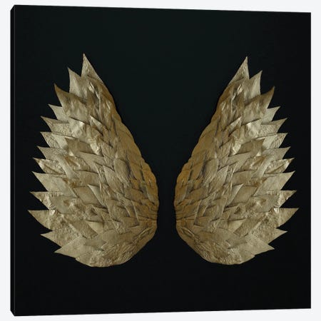 Gold Leaf Angel Wings Canvas Print #FEN126} by Alyson Fennell Art Print
