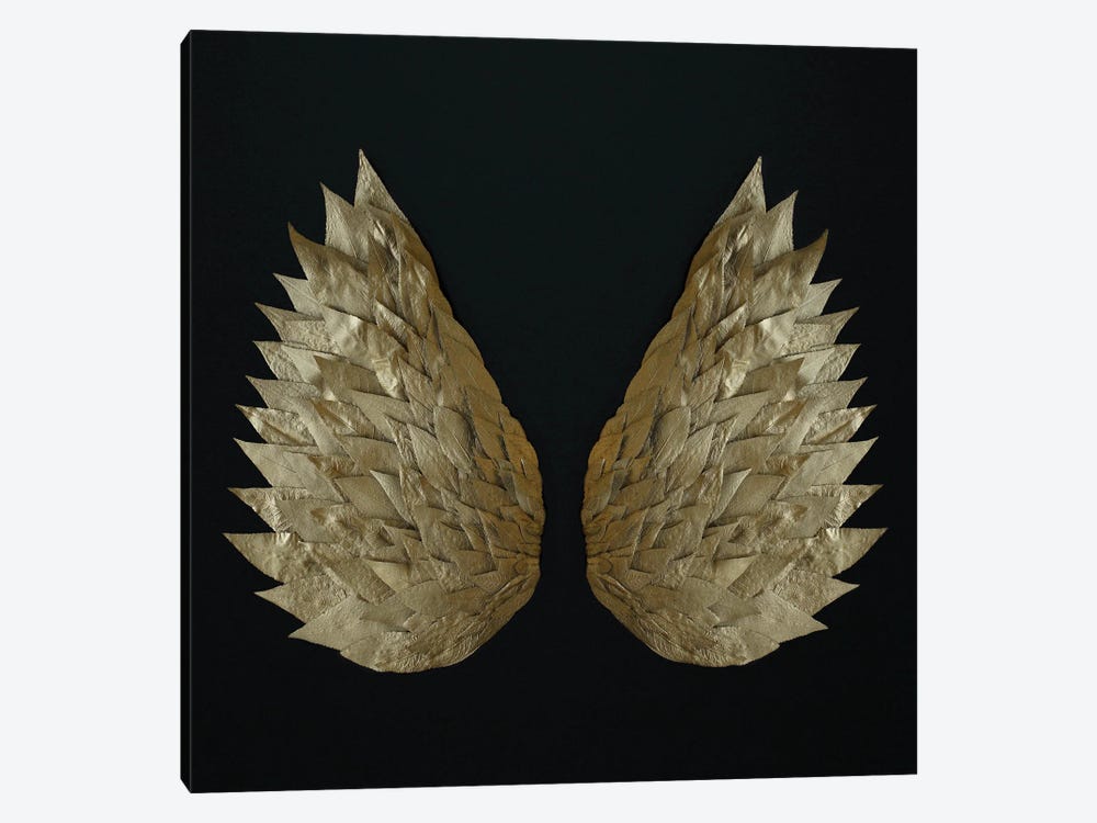 Gold Leaf Angel Wings by Alyson Fennell 1-piece Canvas Wall Art