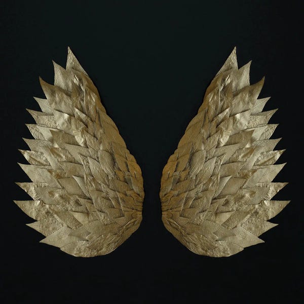 Alyson Fennell: Gold Leaf Angel Wings by Alyson Fennell