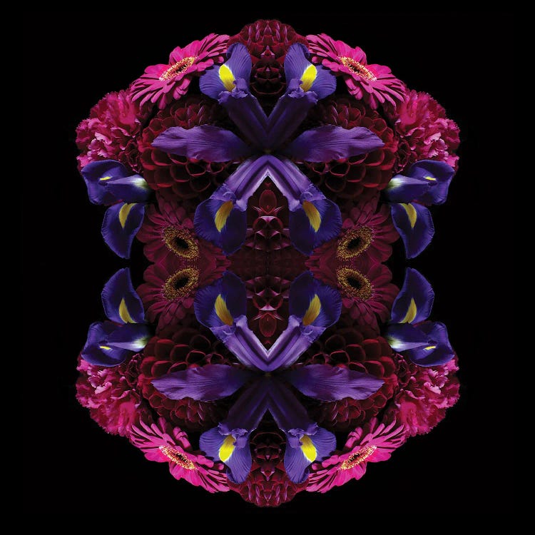 Floral Nirvana by Alyson Fennell wall art