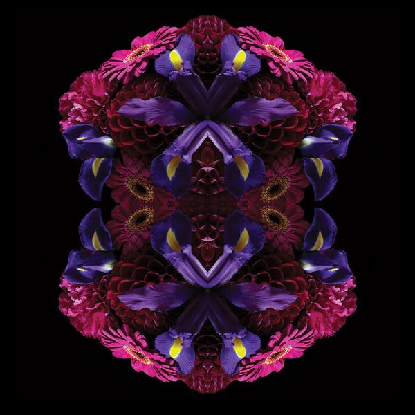 Irises: Floral Nirvana by Alyson Fennell