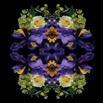 Flowers Of Eden by Alyson Fennell acrylic art print