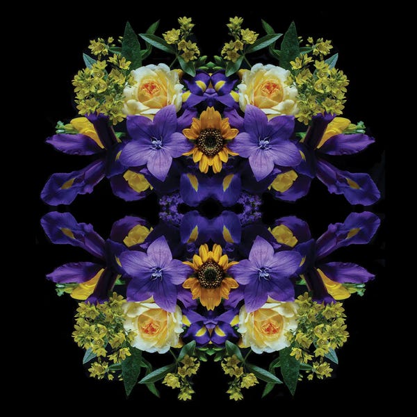 Alyson Fennell: Flowers Of Eden by Alyson Fennell