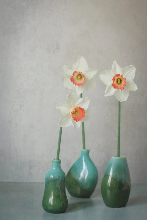 Narcissus Pink Charm Still Life by Alyson Fennell wall art