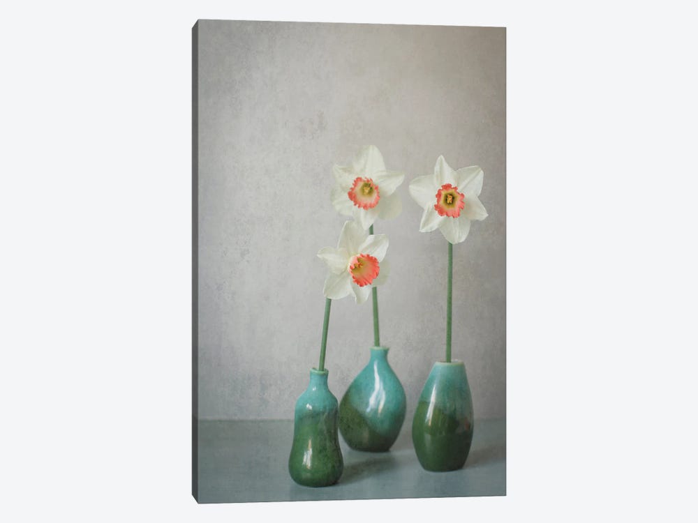 Narcissus Pink Charm Still Life by Alyson Fennell 1-piece Canvas Art Print