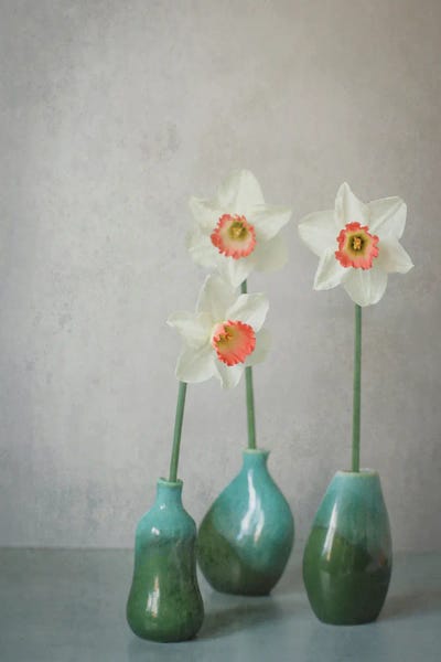 Alyson Fennell: Narcissus Pink Charm Still Life by Alyson Fennell