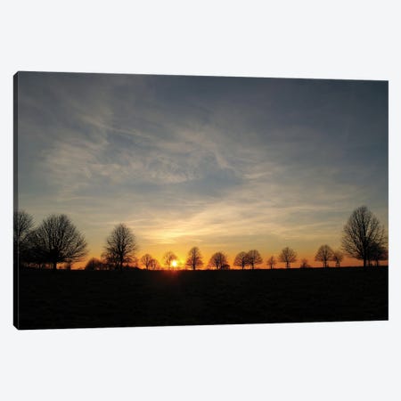Winter Trees Sunset Canvas Print #FEN142} by Alyson Fennell Canvas Artwork