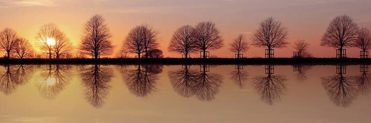 Winter Trees Sunset Reflection