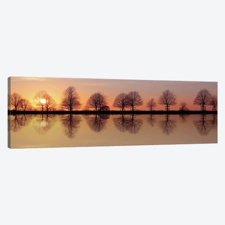 Winter Trees Sunset Reflection Canvas Print #FEN143} by Alyson Fennell Canvas Wall Art