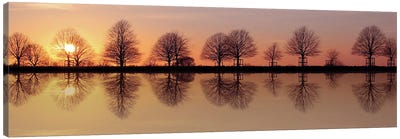 Winter Trees Sunset Reflection Canvas Art Print - Alyson Fennell