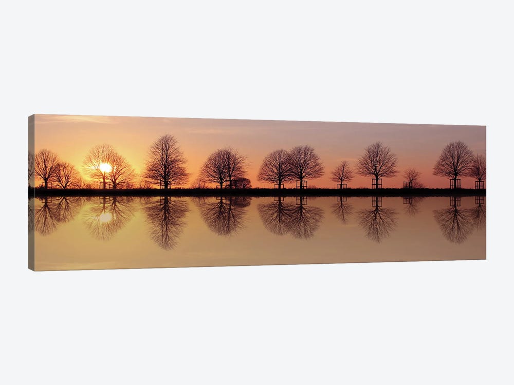 Winter Trees Sunset Reflection by Alyson Fennell 1-piece Canvas Print