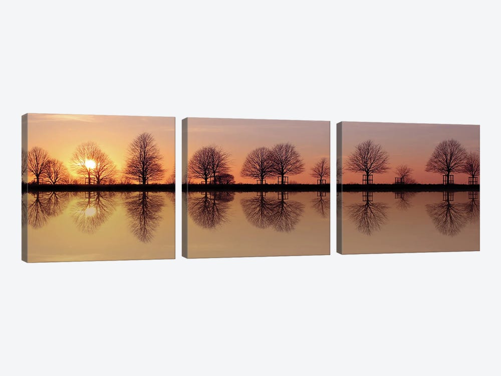 Winter Trees Sunset Reflection by Alyson Fennell 3-piece Art Print