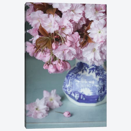 Cherry Blossom Still Life Canvas Print #FEN144} by Alyson Fennell Art Print