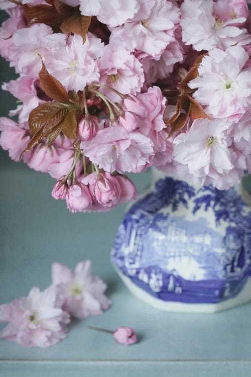 Cherry Blossom Still Life