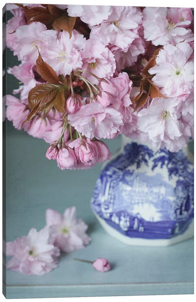 Cherry Blossom Still Life Canvas Art Print - Alyson Fennell