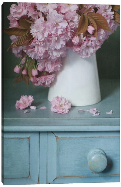 Cherry Blossom In White Jug Canvas Art Print - Alyson Fennell