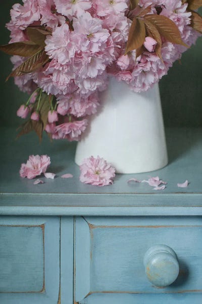 Alyson Fennell: Cherry Blossom In White Jug by Alyson Fennell