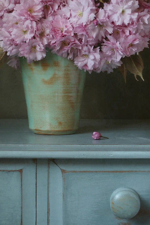 Cherry Blossom And Bud Still Life