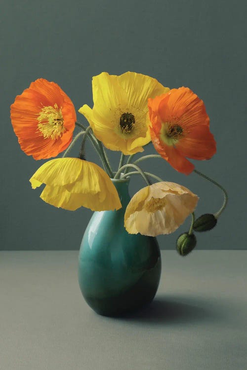Icelandic Poppy Still Life by Alyson Fennell wall art