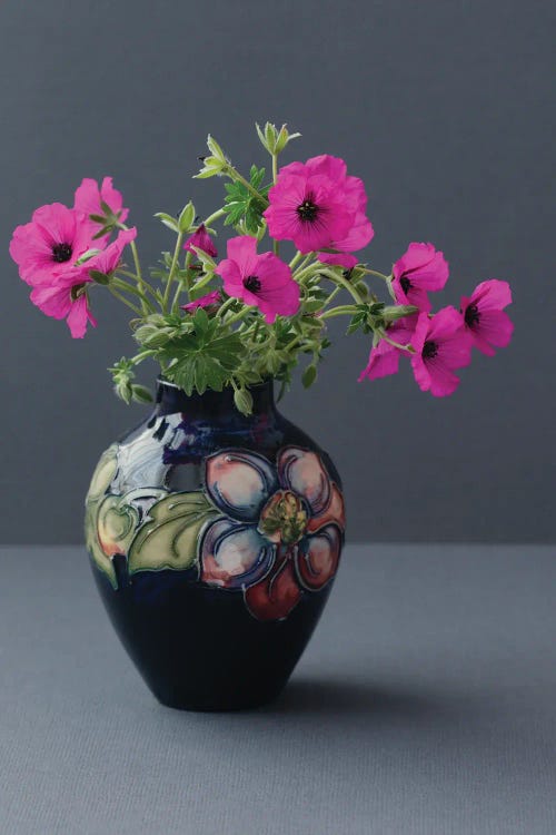 Wild Geranium Still Life by Alyson Fennell wall art