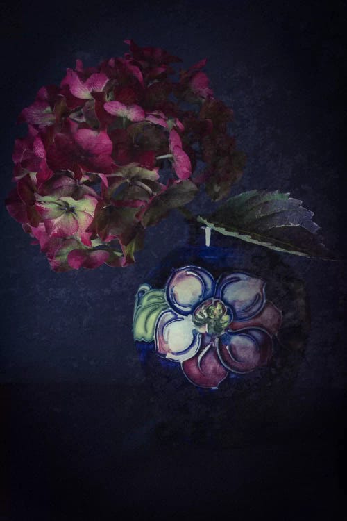 Hydrangea And Moorcroft Vase by Alyson Fennell wall art