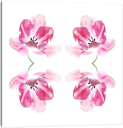 Pink Tulip Quad Canvas Art Print - Tulip Art