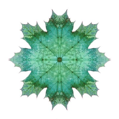 Teal Maple Leaf Star I by Alyson Fennell acrylic art print