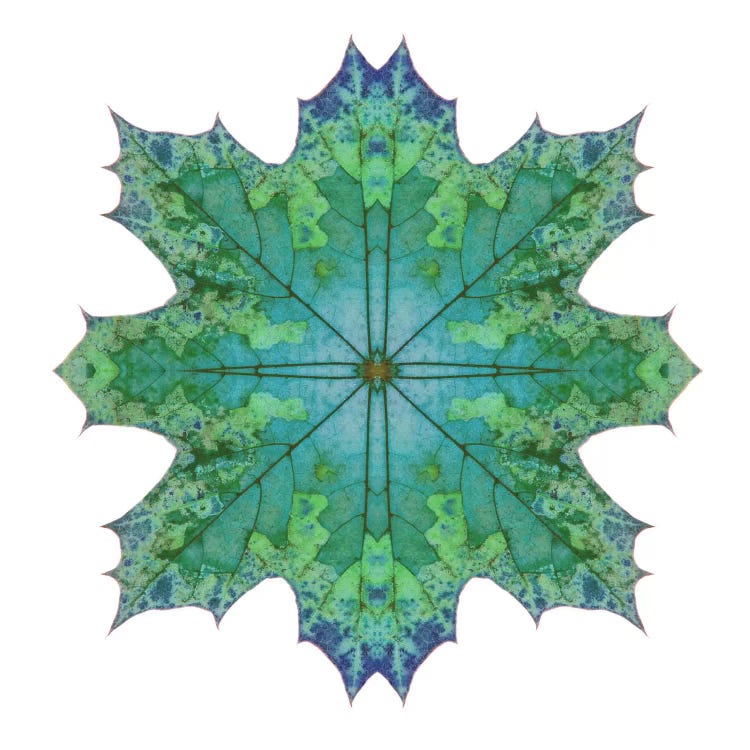 Teal Maple Leaf Star II