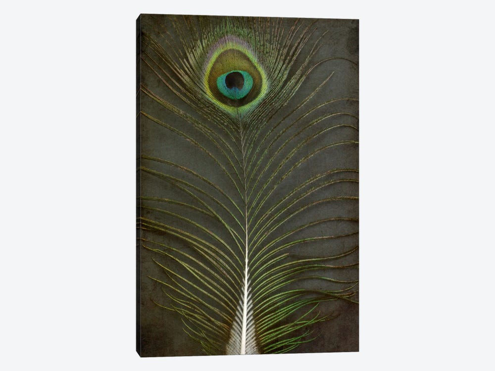 Peacock Feather II by Alyson Fennell 1-piece Art Print