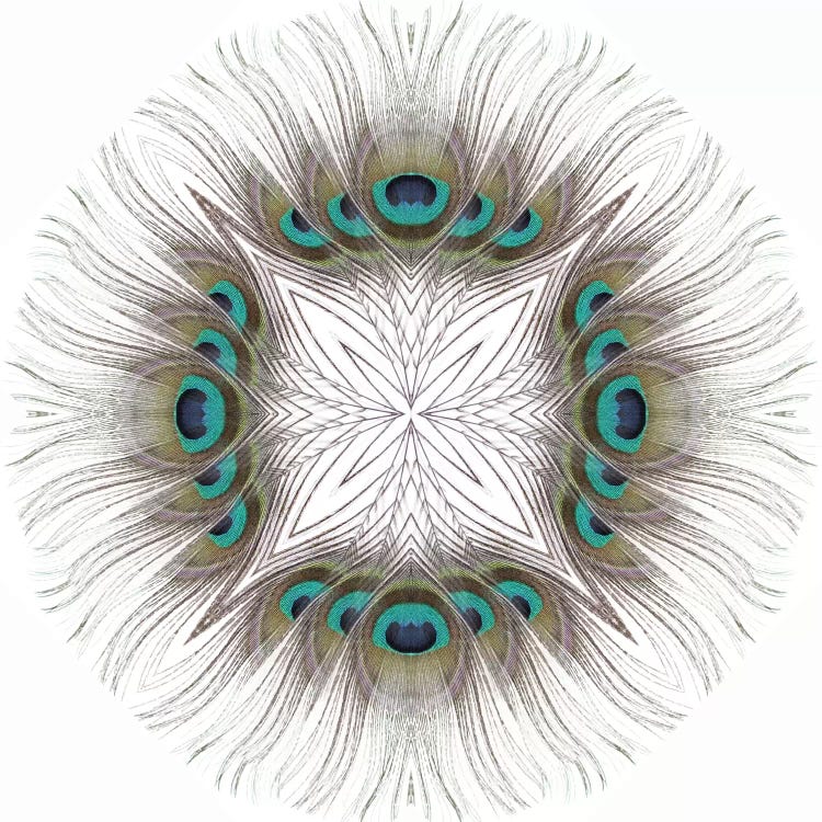 Peacock Feather Mandala