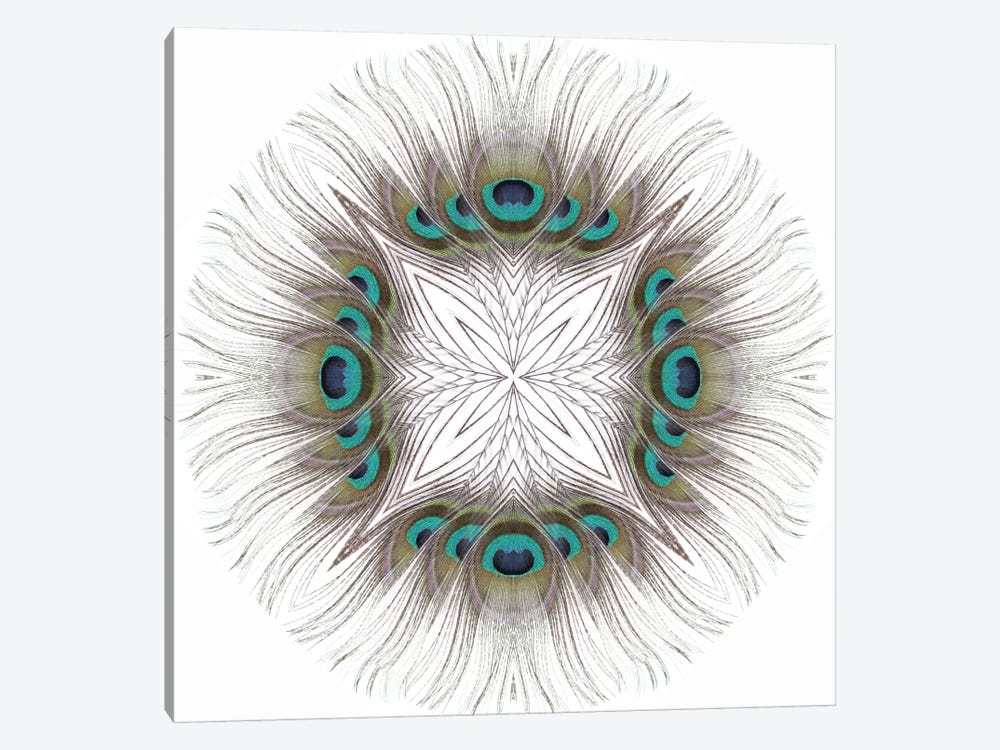 Peacock Feather Mandala by Alyson Fennell 1-piece Canvas Art